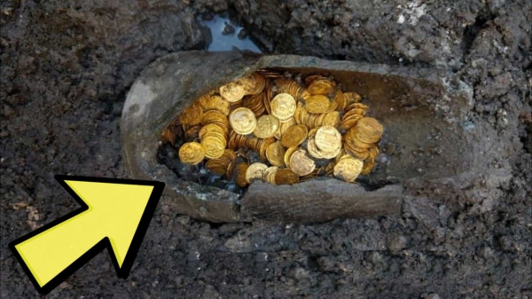 683f31d765077202506253311