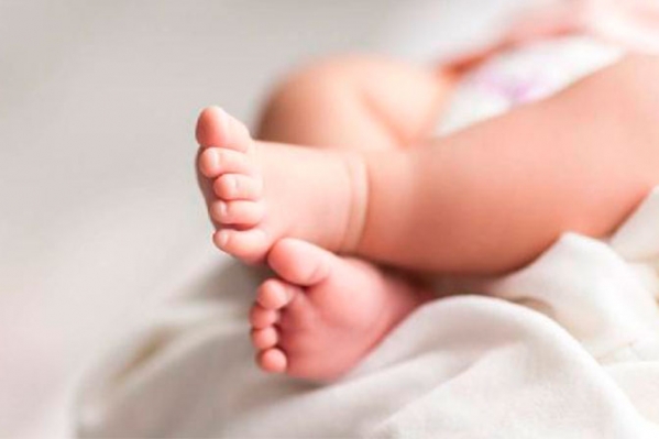 6956bebdf2fb0202601263645