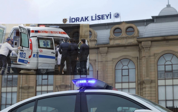 6988e9beb4c66202602265334