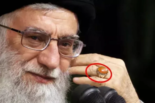 69a9a1d87361f202603263136