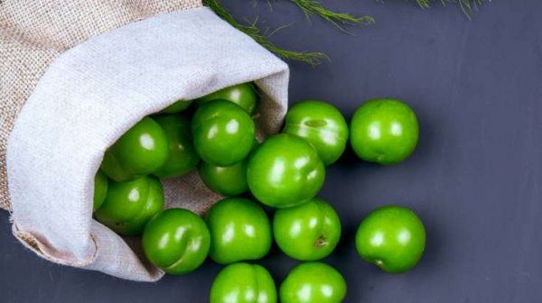 69e632df3baf9202604260623